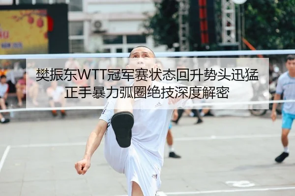樊振东WTT冠军赛状态回升势头迅猛 正手暴力弧圈绝技深度解密
