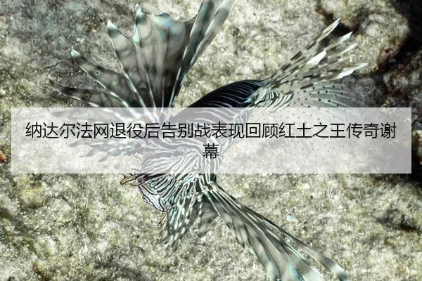 na-da-er-fa-wang-tui-yi-hou-gao-bie-zhan-biao-xian-hui-gu-hong-tu-zhi-wang-chuan-qi-xie-mu-3-926.jpg