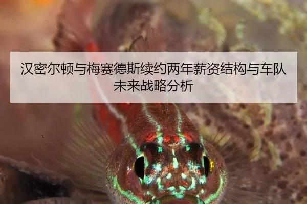 han-mi-er-dun-yu-mei-sai-de-si-xu-yue-liang-nian-xin-zi-jie-gou-yu-che-dui-wei-lai-zhan-lve-fen-xi-2-434.jpg